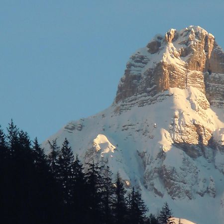 Affittacamere Pizzeria Marmolada Rocca Pietore Zewnętrze zdjęcie