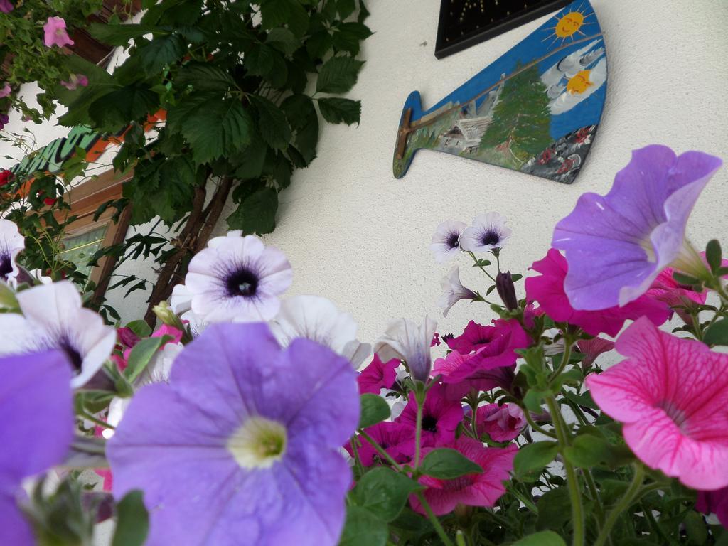 Affittacamere Pizzeria Marmolada Rocca Pietore Zewnętrze zdjęcie